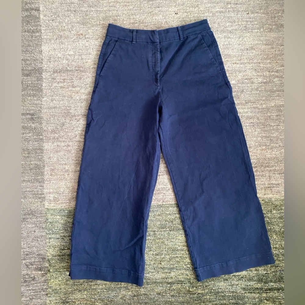 Wide Legged Everlane navy pants 14 US